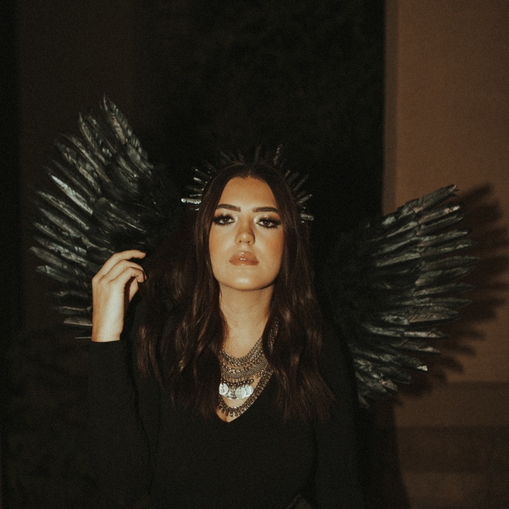 BLACK ANGEL WINGS BIRD WINGS HALLOWEEN COSTUME FALEN ANGEL BLACK WINGS